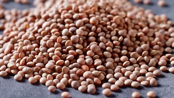 super foods - lentils
